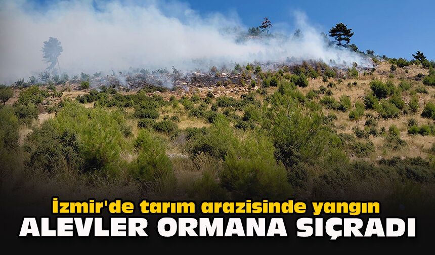 İzmir'de tarım arazisinde yangın: Alevler ormana sıçradı