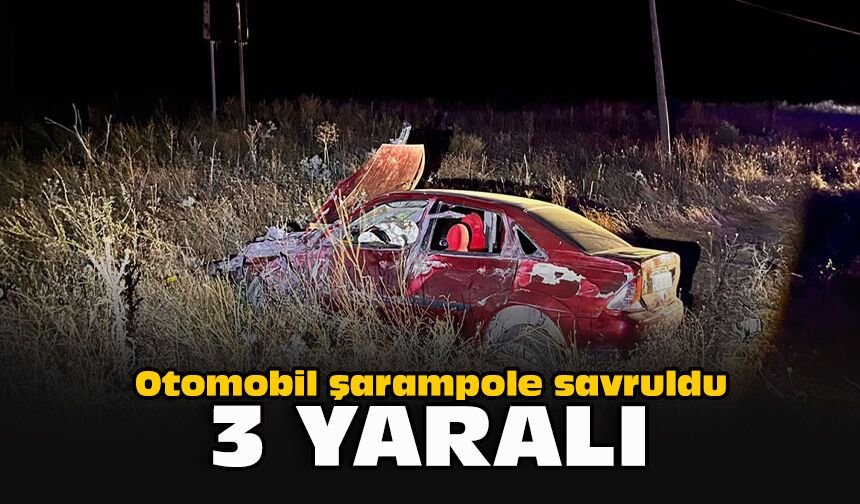 Otomobil şarampole savruldu: 3 yaralı