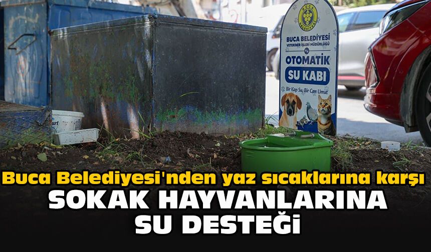 Buca Belediyesi'nden yaz sıcaklarına karşı sokak hayvanlarına su desteği