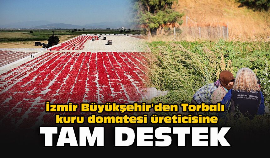 İzmir Büyükşehir'den Torbalı kuru domatesi üreticisine tam destek
