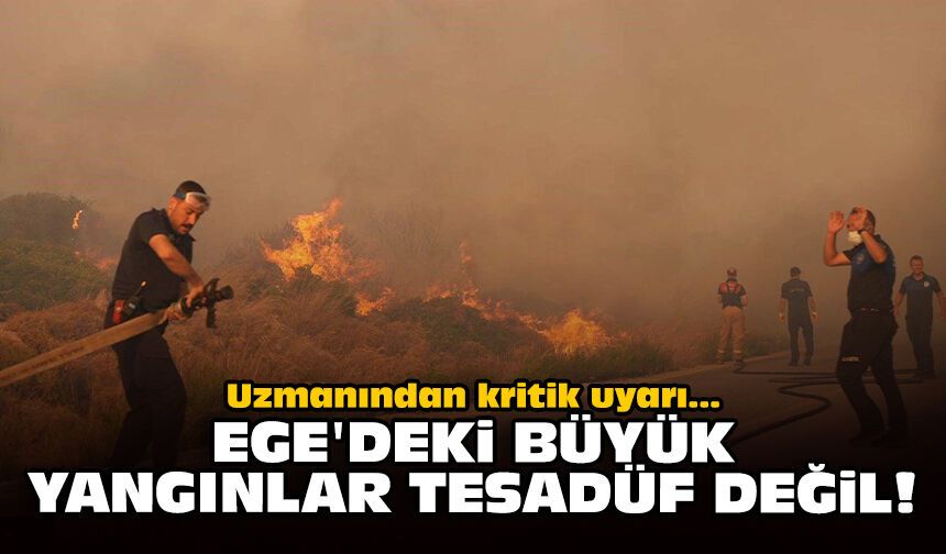 Uzmanından kritik uyarı: Ege'deki büyük yangınlar tesadüf değil