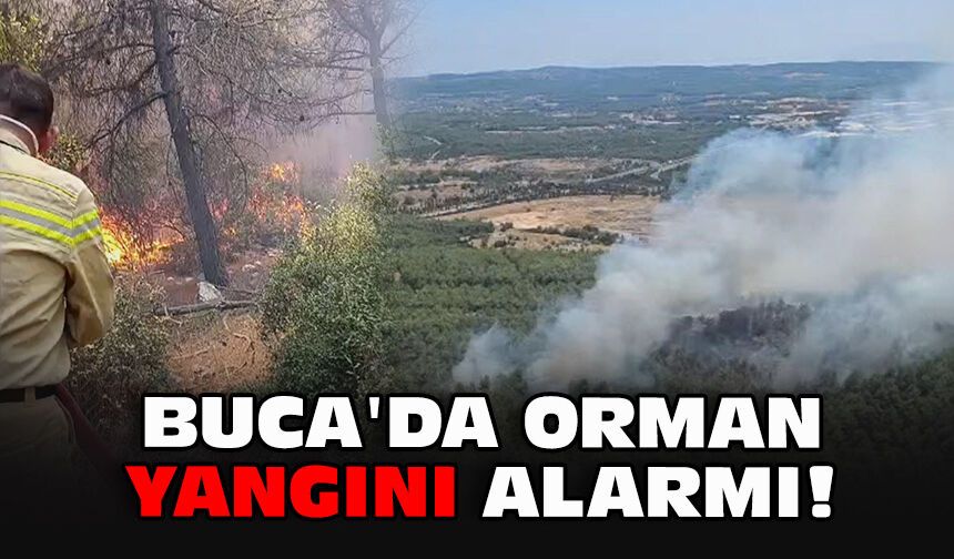 Buca'da orman yangını alarmı!