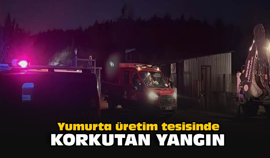 Yumurta üretim tesisinde korkutan yangın
