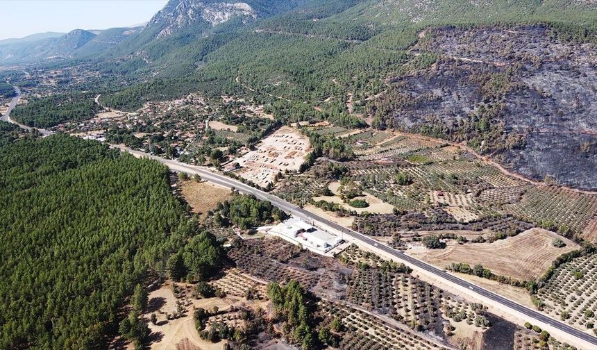 Muğla'da yanan ormanlık alan havadan görüntülendi