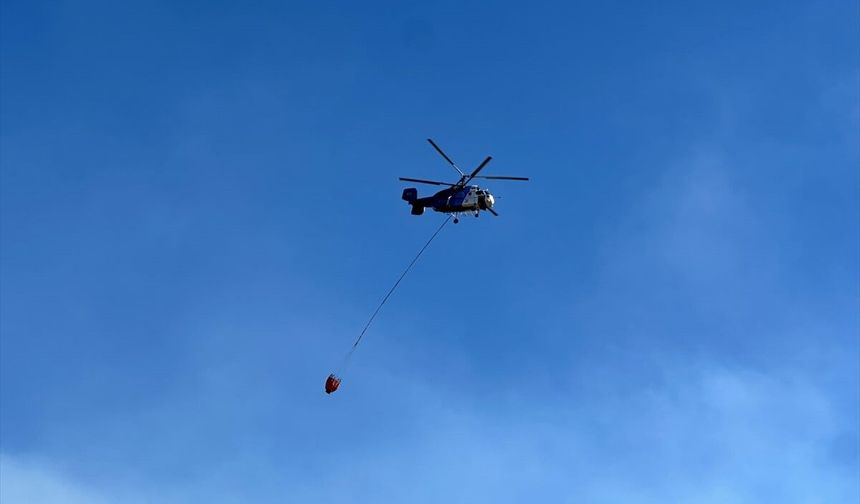 Uşak'ta meşelik alanda çıkan yangın kontrol altına alındı