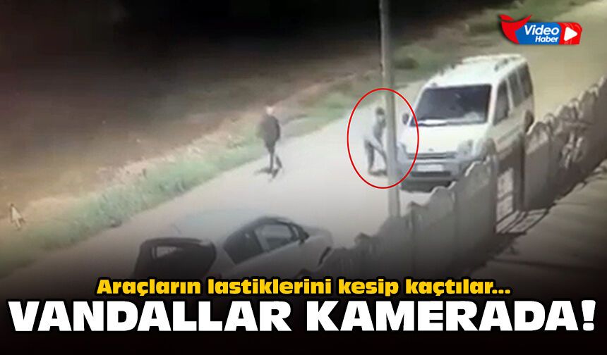 Araçların lastiklerini kesip kaçtılar: Vandallar kamerada!
