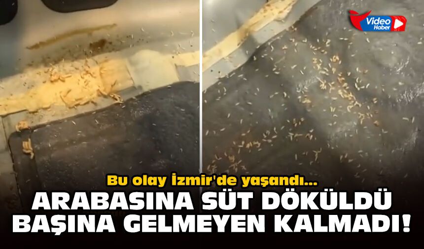 Bu olay İzmir'de yaşandı... Arabasına süt döküldü başına gelmeyen kalmadı!