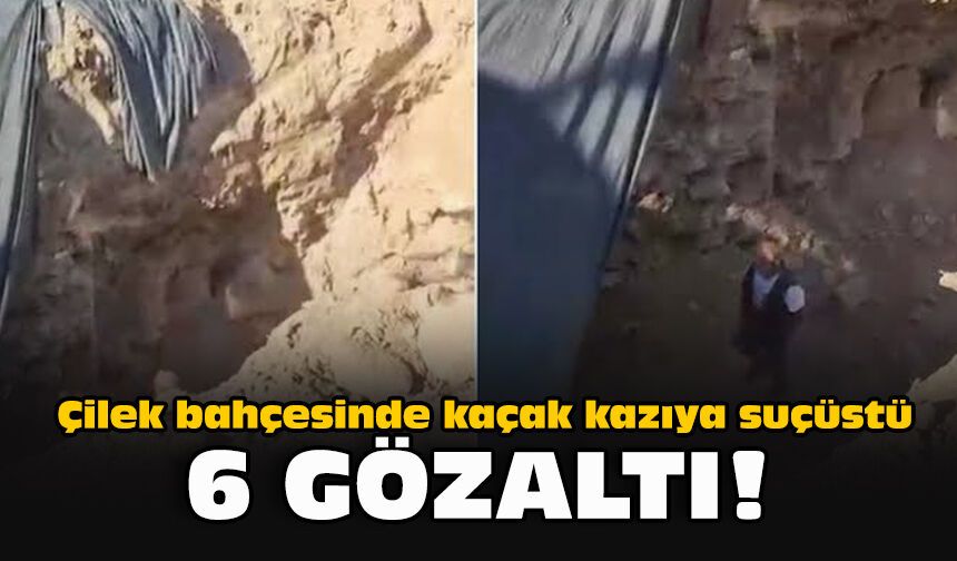Çilek bahçesinde kaçak kazıya suçüstü: 6 gözaltı!