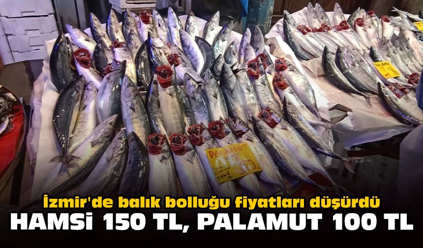 İzmir'de balık bolluğu fiyatları düşürdü: Hamsi 150 TL, palamut 100 TL