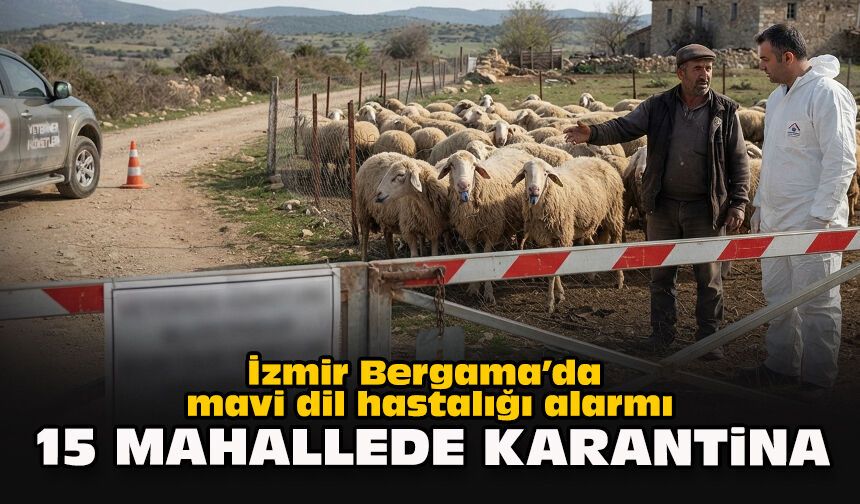 İzmir Bergama’da mavi dil hastalığı alarmı... 15 mahallede karantina