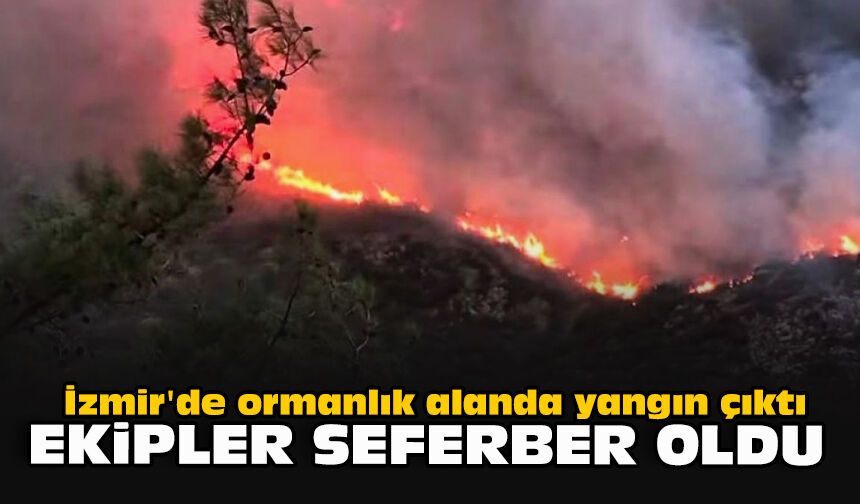 İzmir'de ormanlık alanda yangın çıktı: Ekipler seferber oldu