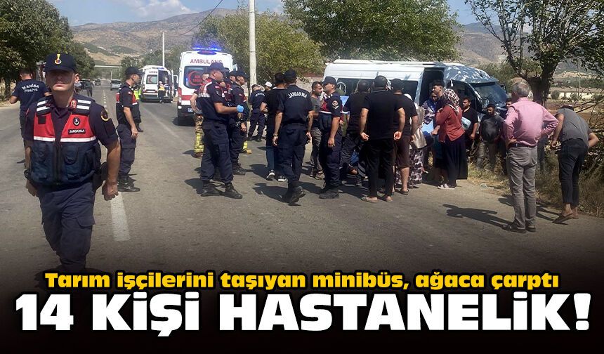 Tarım işçilerini taşıyan minibüs, ağaca çarptı: 14 kişi hastanelik!