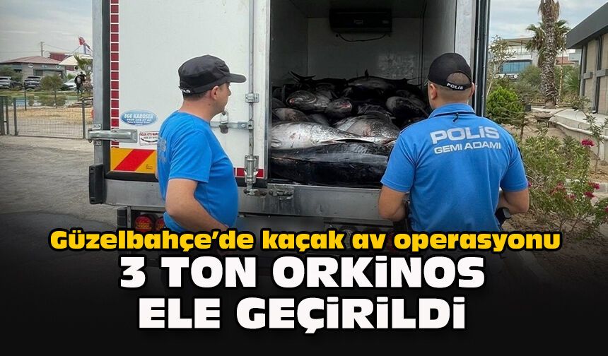 Güzelbahçe’de kaçak av operasyonu: 3 ton orkinos ele geçirildi