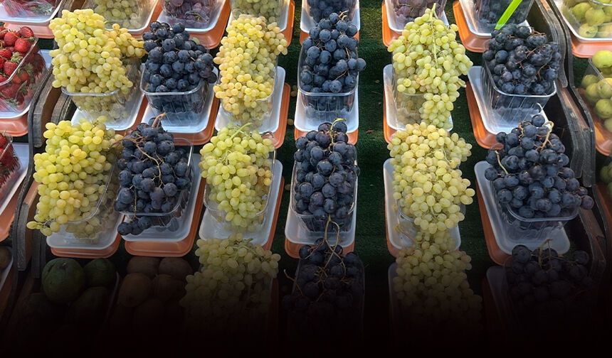 Üreticiden 'fiyat' isyanı: Bahçede 60, markette 150-200 lira