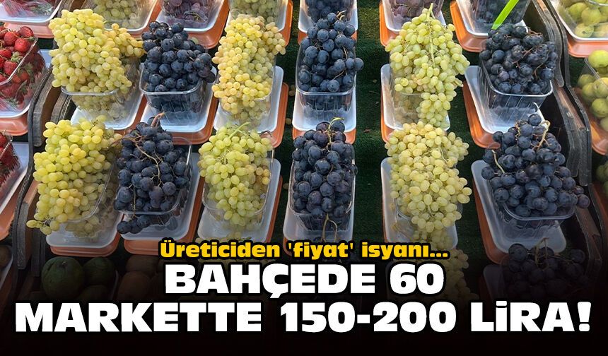 Üreticiden 'fiyat' isyanı: Bahçede 60, markette 150-200 lira