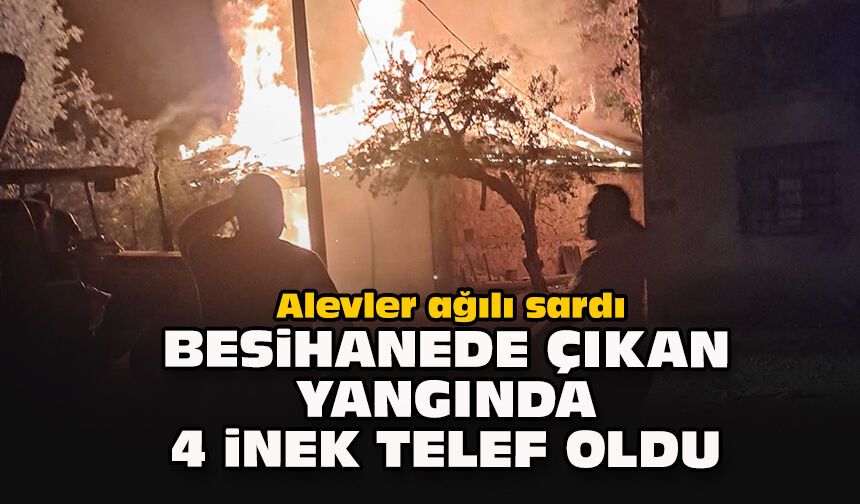 Alevler ağılı sardı: Besihanede çıkan yangında 4 inek telef oldu
