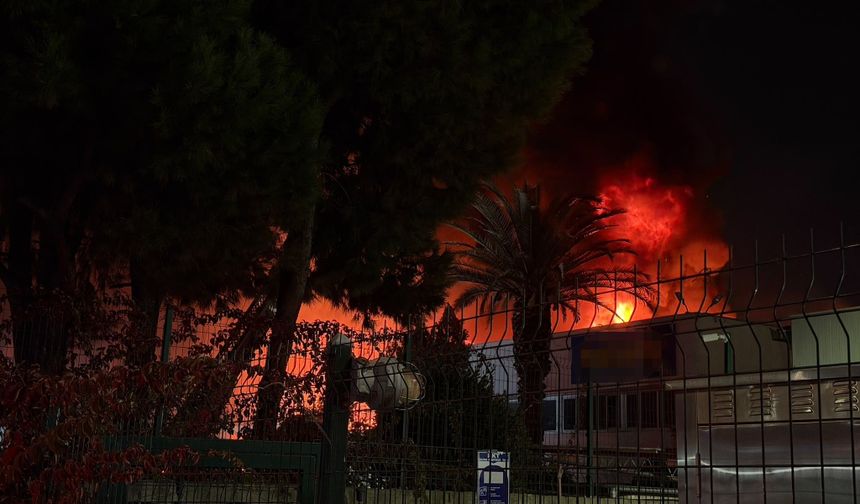Manisa'da akü üretimi yapan fabrikada yangın
