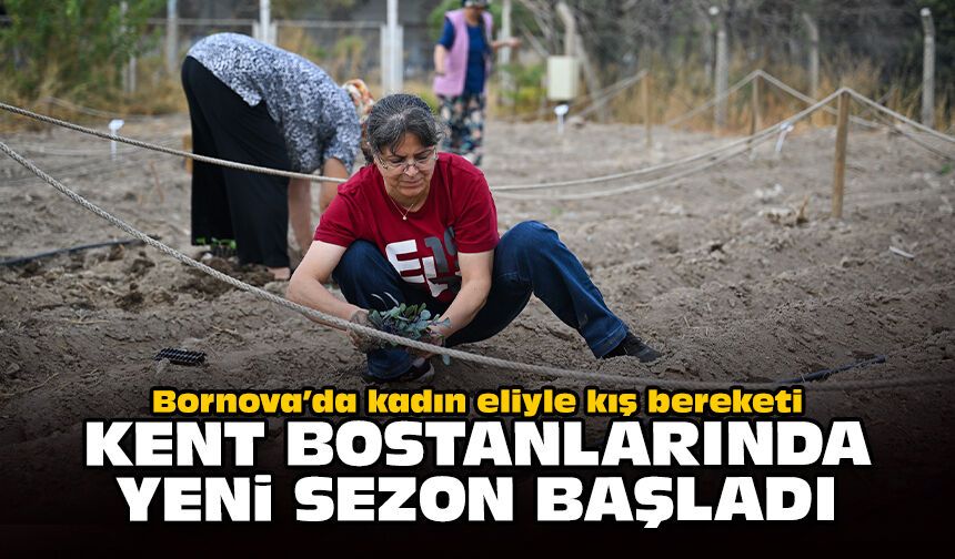 Bornova’da kadın eliyle kış bereketi: Kent bostanlarında yeni sezon başladı