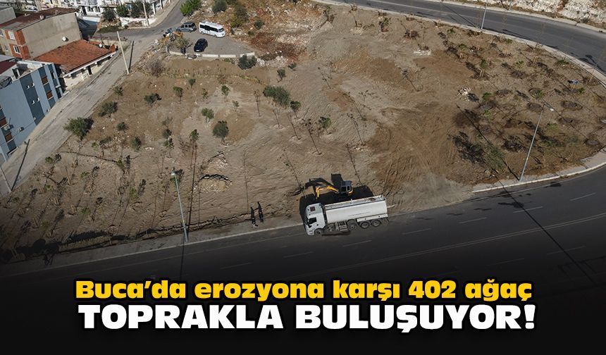 Buca’da erozyona karşı 402 ağaç toprakla buluşuyor!