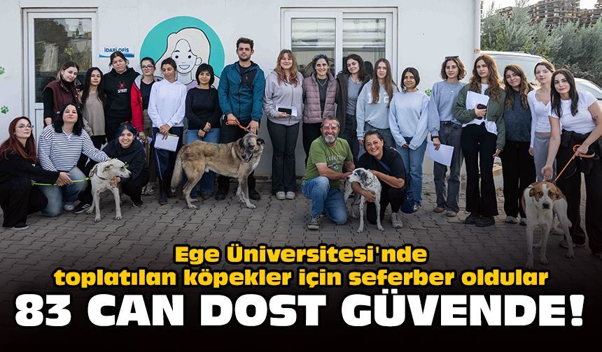Ege Üniversitesi'nde toplatılan köpekler için seferber oldular: 83 can dost güvende!
