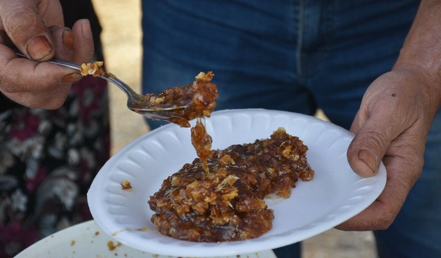 Kemalpaşa bal festivali ile renklendi!