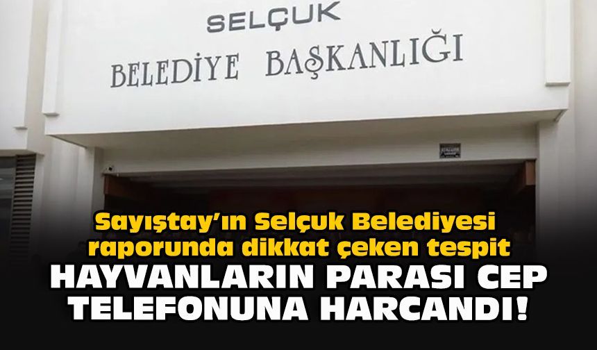 Sayıştay’ın Selçuk Belediyesi raporunda dikkat çeken tespit: Hayvanların parası cep telefonuna harcandı!