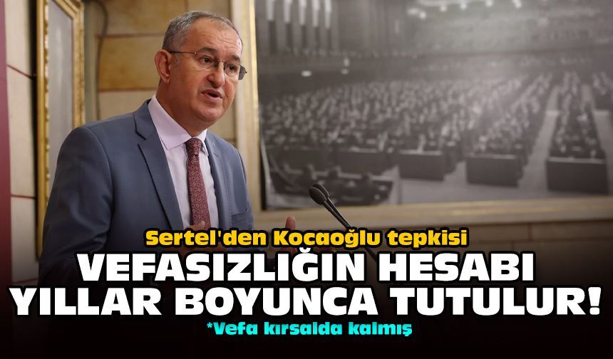 Sertel'den Kocaoğlu tepkisi: Vefasızlığın hesabı yıllar boyunca tutulur!