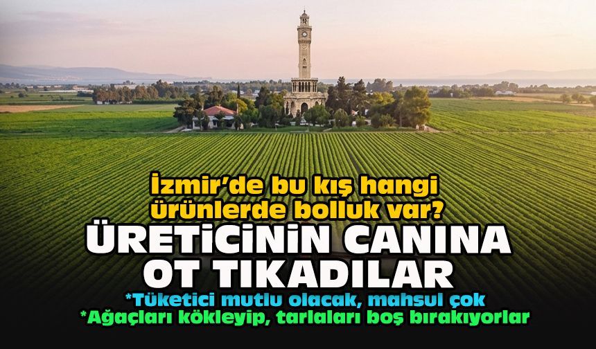 İzmir’de bu kış hangi ürünlerde bolluk var? Üreticinin canına ot tıkadılar
