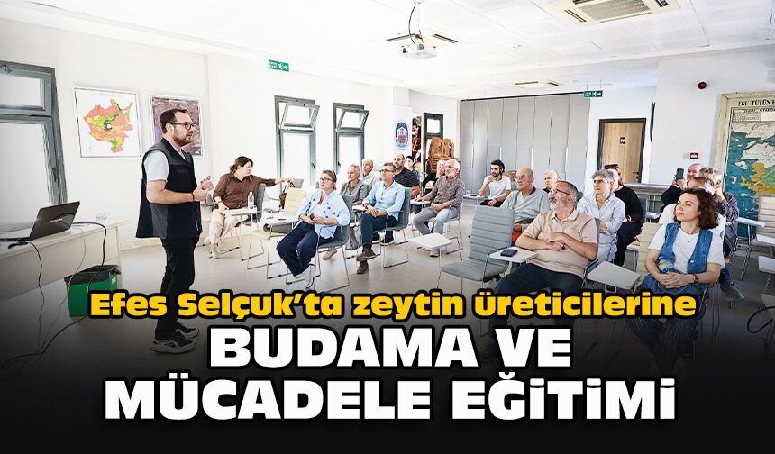 Efes Selçuk’ta zeytin üreticilerine budama ve mücadele eğitimi