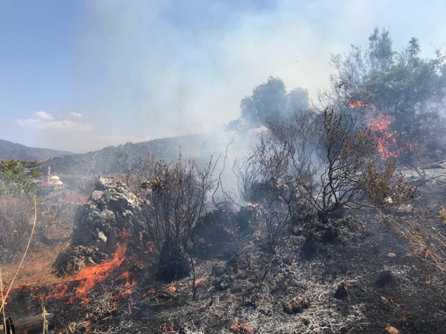 Muğla'da orman yangını: Havadan ve karadan müdahale ediliyor