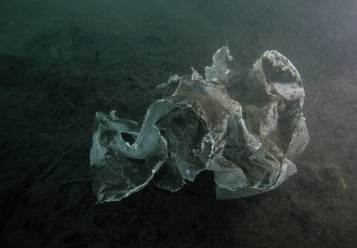 AA-20231006-32323777-32323758-IZMIRDE_DENIZ_POLISI_VE_DALGIC_EKIPLERI_DIP_TEMIZLIGI_YAPTI