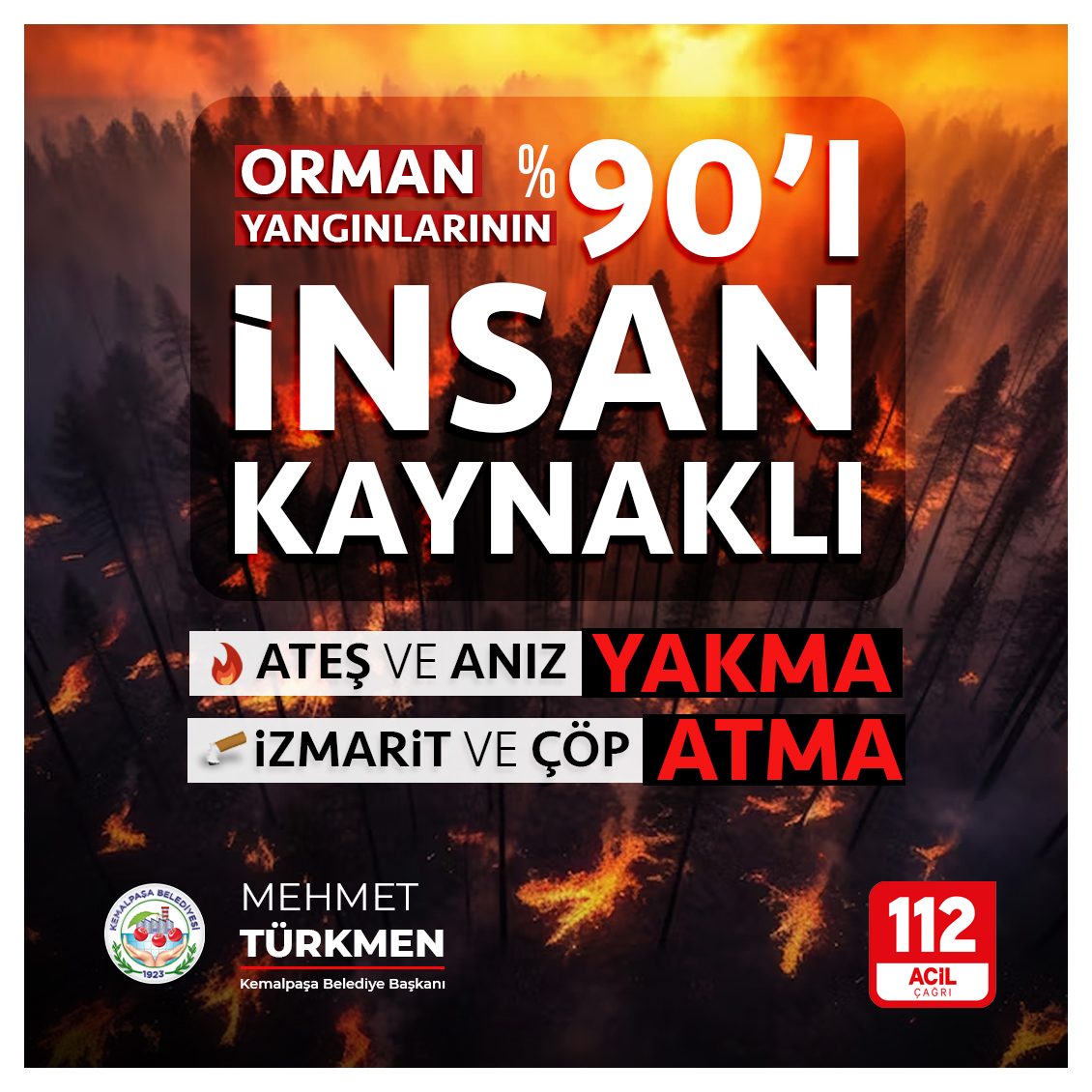 Orman Yangını-1