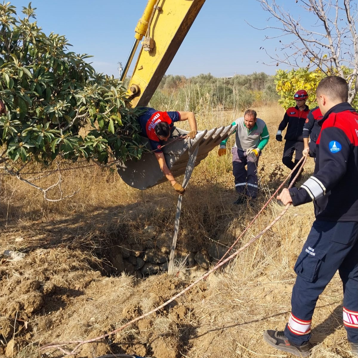 Yılkı Atı Kurtarma (5)