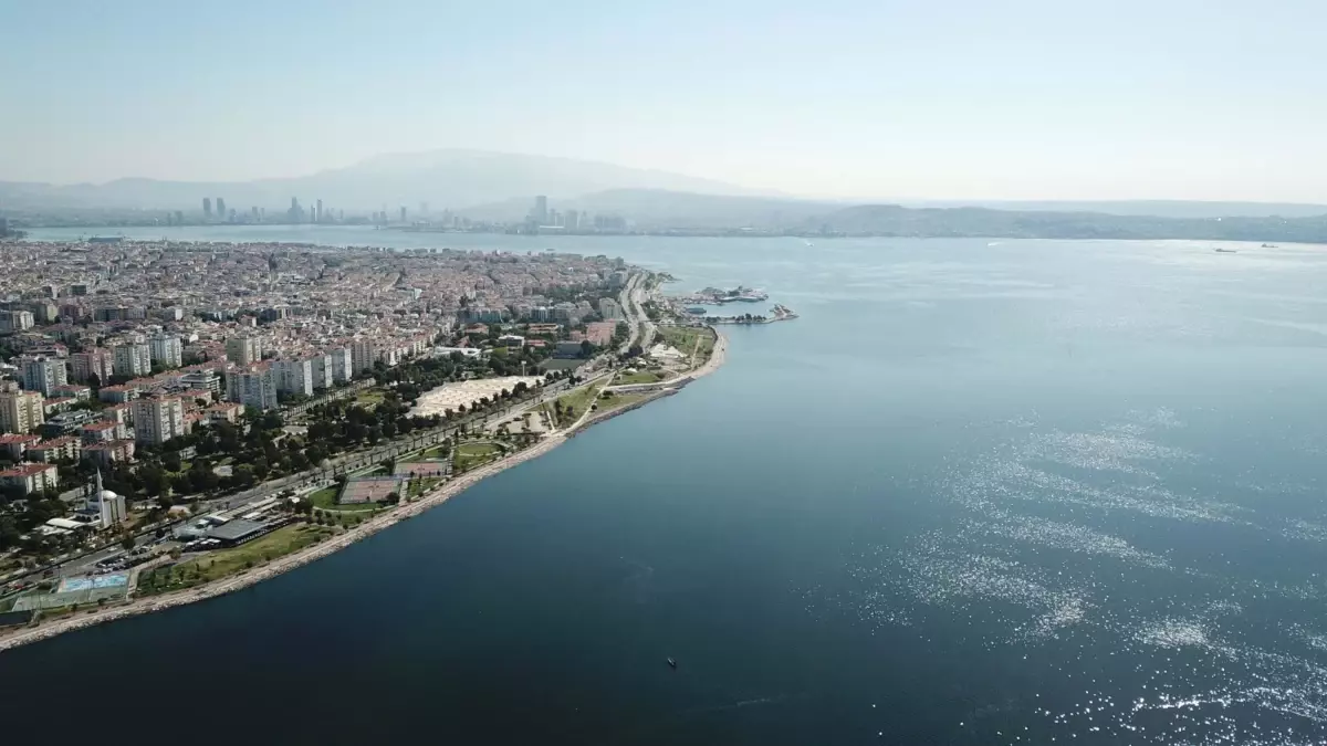 Izmir Korfezi Ndeki Kirlilik Sediment Yapisin 10 17932846 Amp