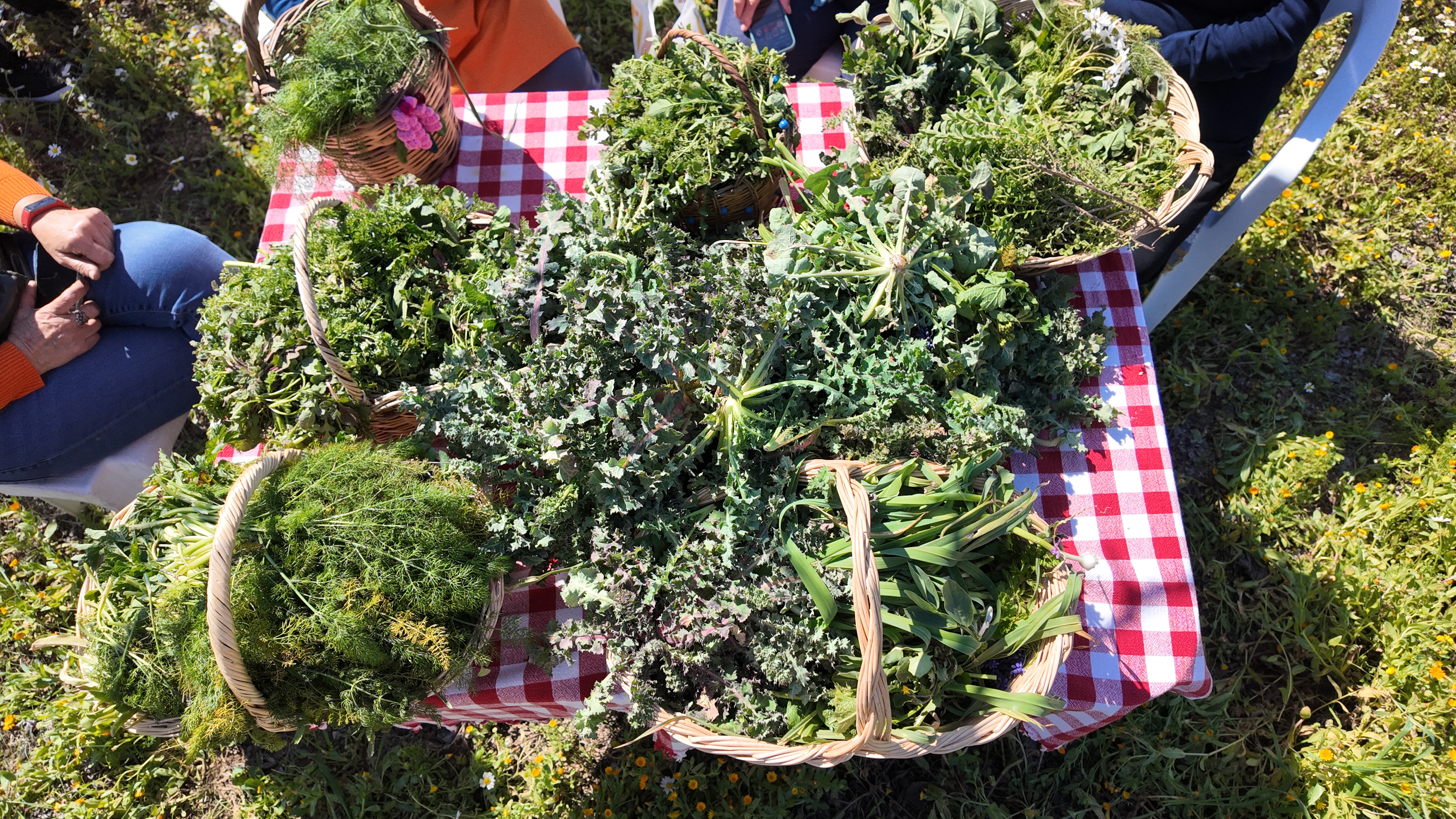 Ot Fotoğraflari (10)