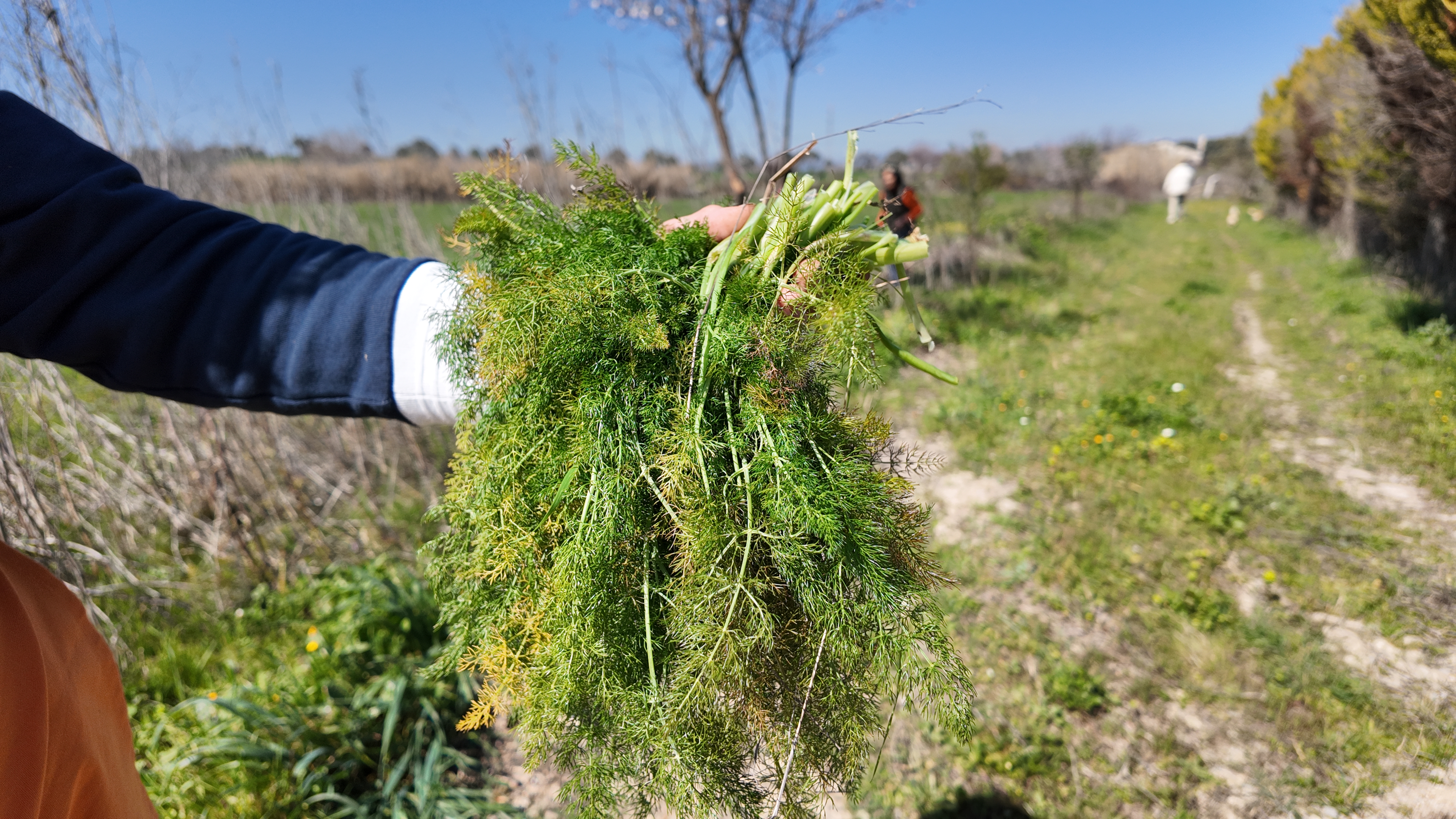 Ot Fotoğraflari (3)