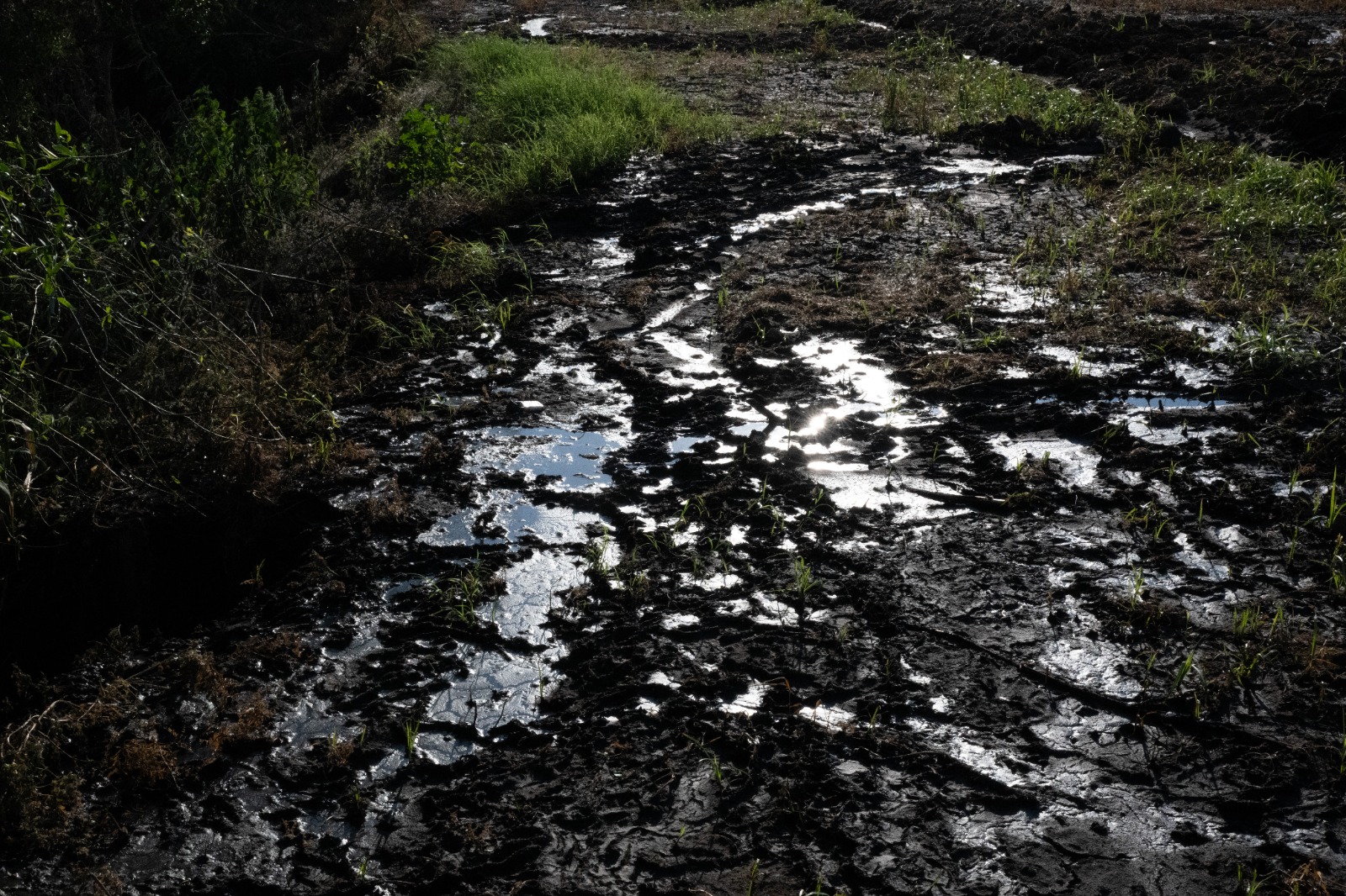 Büyükşehir’den Gediz Nehri’ni Kirletenlere Suçüstü (1)