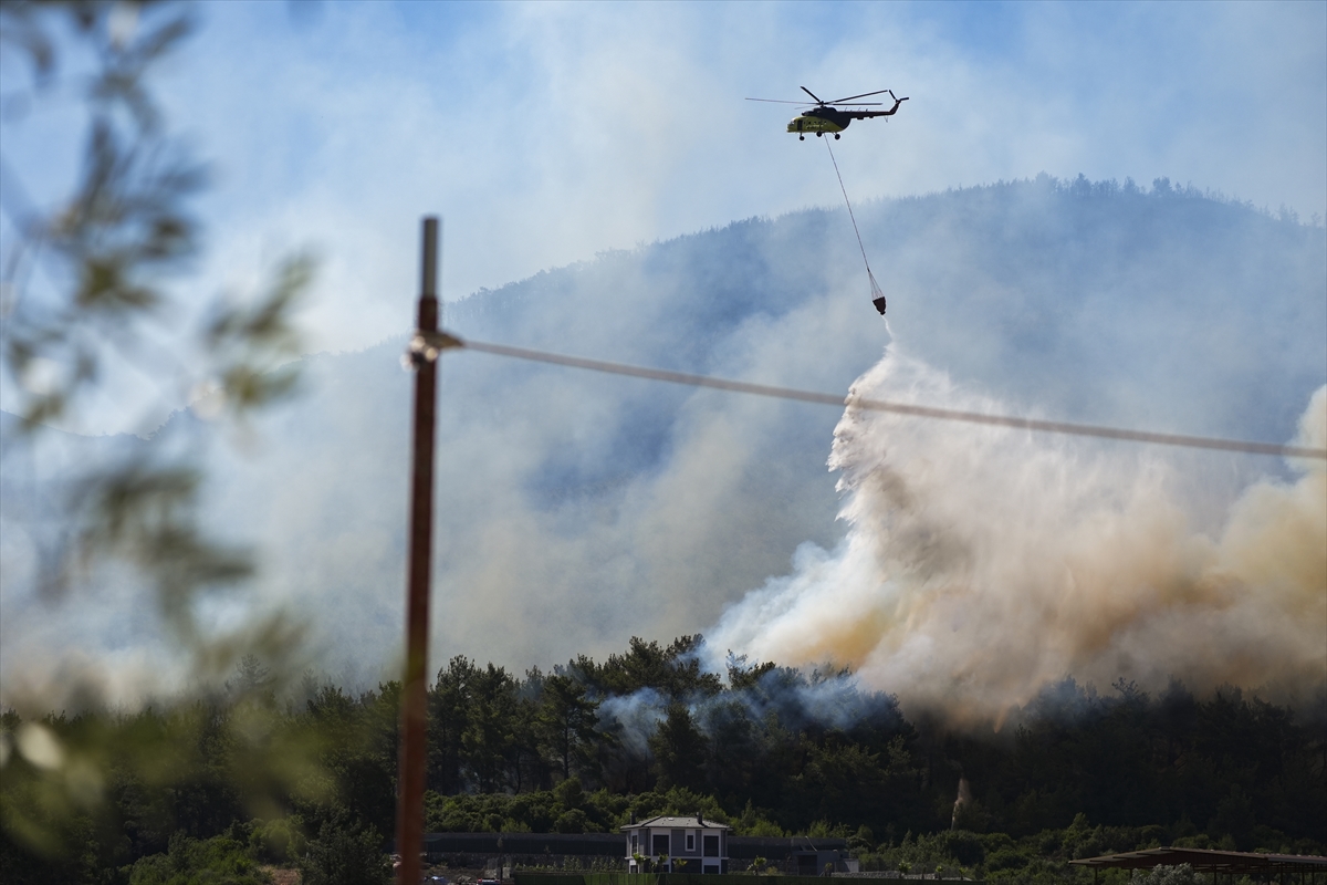 A A 20250630 38425039 38425031 I Z M I R I N M E N D E R E S V E S E F E R I H I S A R I L C E L E R I N D E C I K A N O R M A N Y A N G I N L A R I N A M U D A H A L E S U R U Y O R