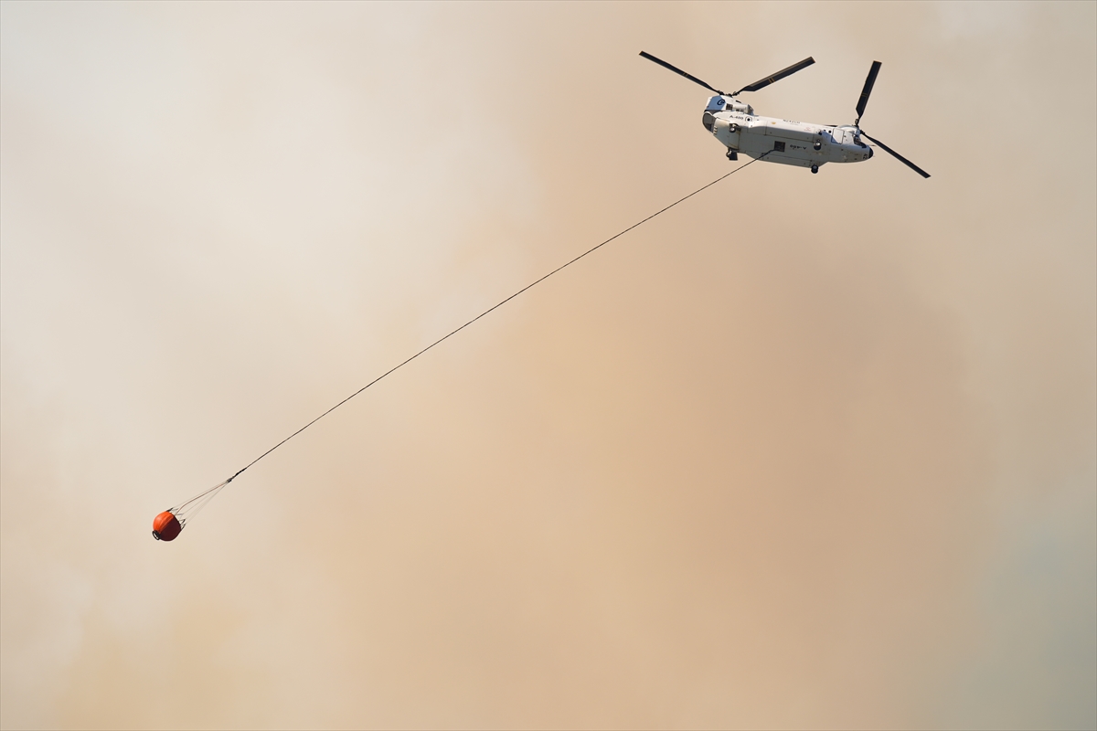 A A 20250630 38425295 38425280 I Z M I R I N S E F E R I H I S A R I L C E S I N D E C I K A N O R M A N Y A N G I N I N A M U D A H A L E S U R U Y O R