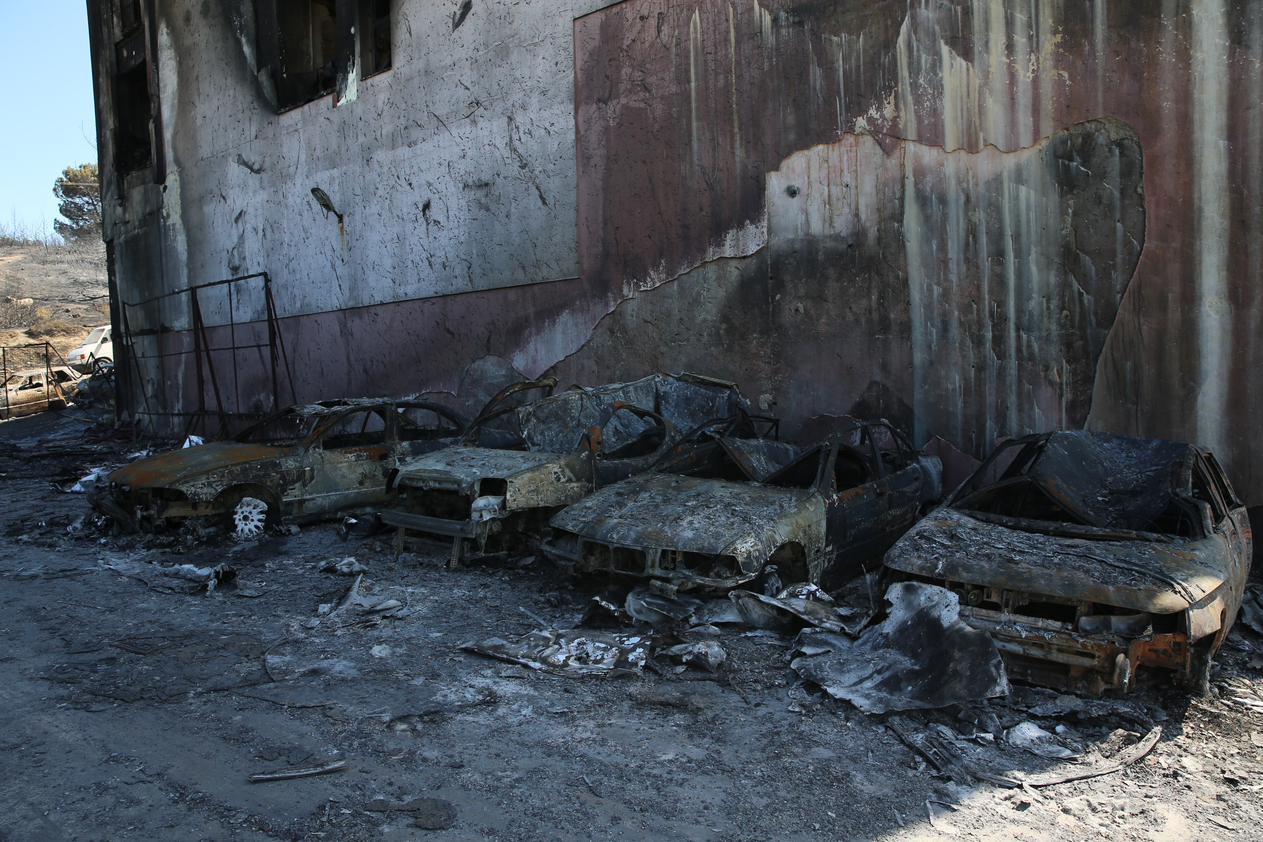 A A 20250630 38427759 38427755 I Z M I R D E O R M A N Y A N G I N I N I N S I C R A D I G I G A L E R I C I L E R S I T E S I N D E H A S A R I N B O Y U T U O R T A Y A C I K T I