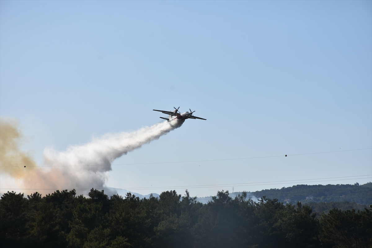 Aa 20250627 38406366 38406363 Izmir Bornovada Tarim Arazisinde Baslayan Yangin Ormana Sicradi (1)