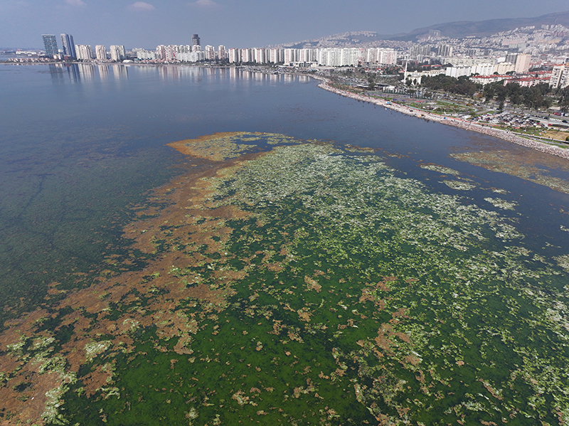 Bakanlik Izmir Korfezindeki Son Durumu Acikladi Kirlilik Gecen Yilla Ayni Seviyede1