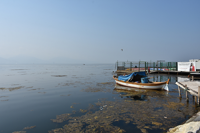 Bakanlik Izmir Korfezindeki Son Durumu Acikladi Kirlilik Gecen Yilla Ayni Seviyede2