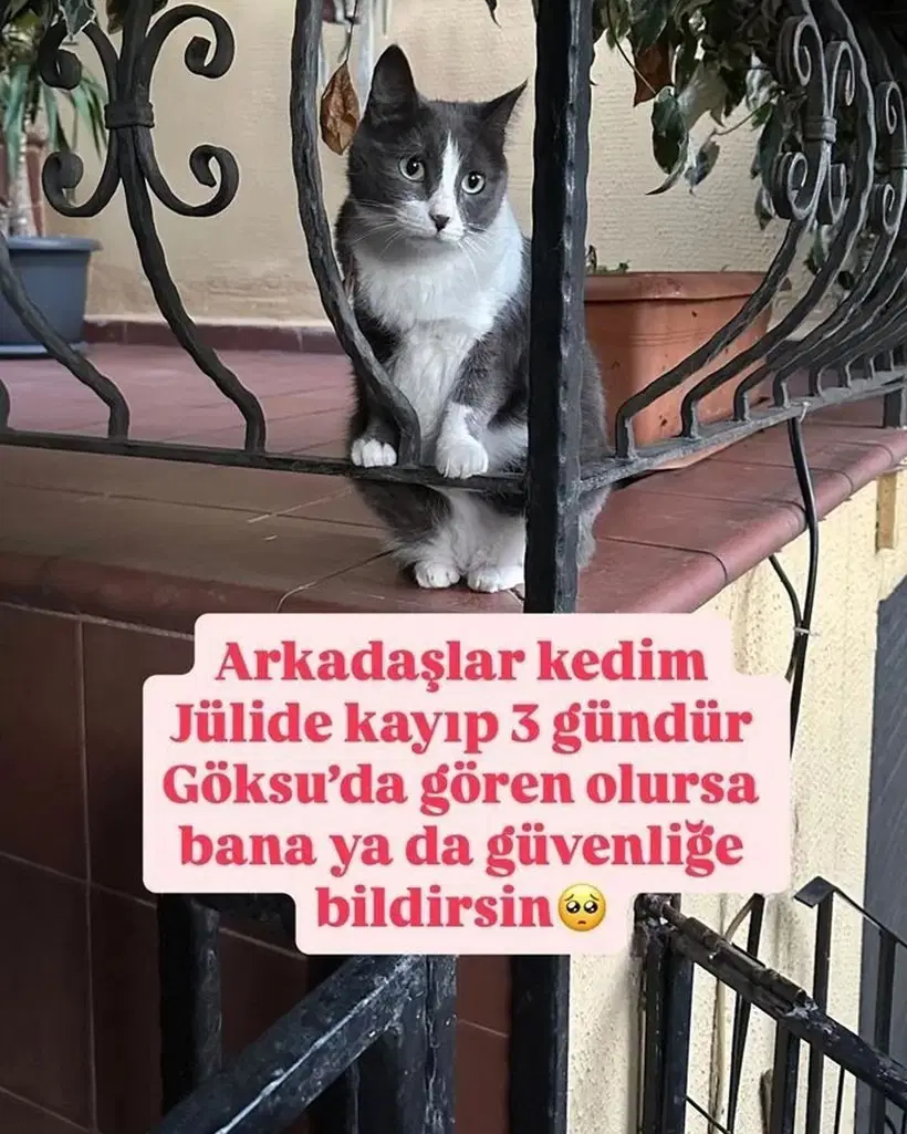 93514512 B311 4114 Bf30 4D694B031B81