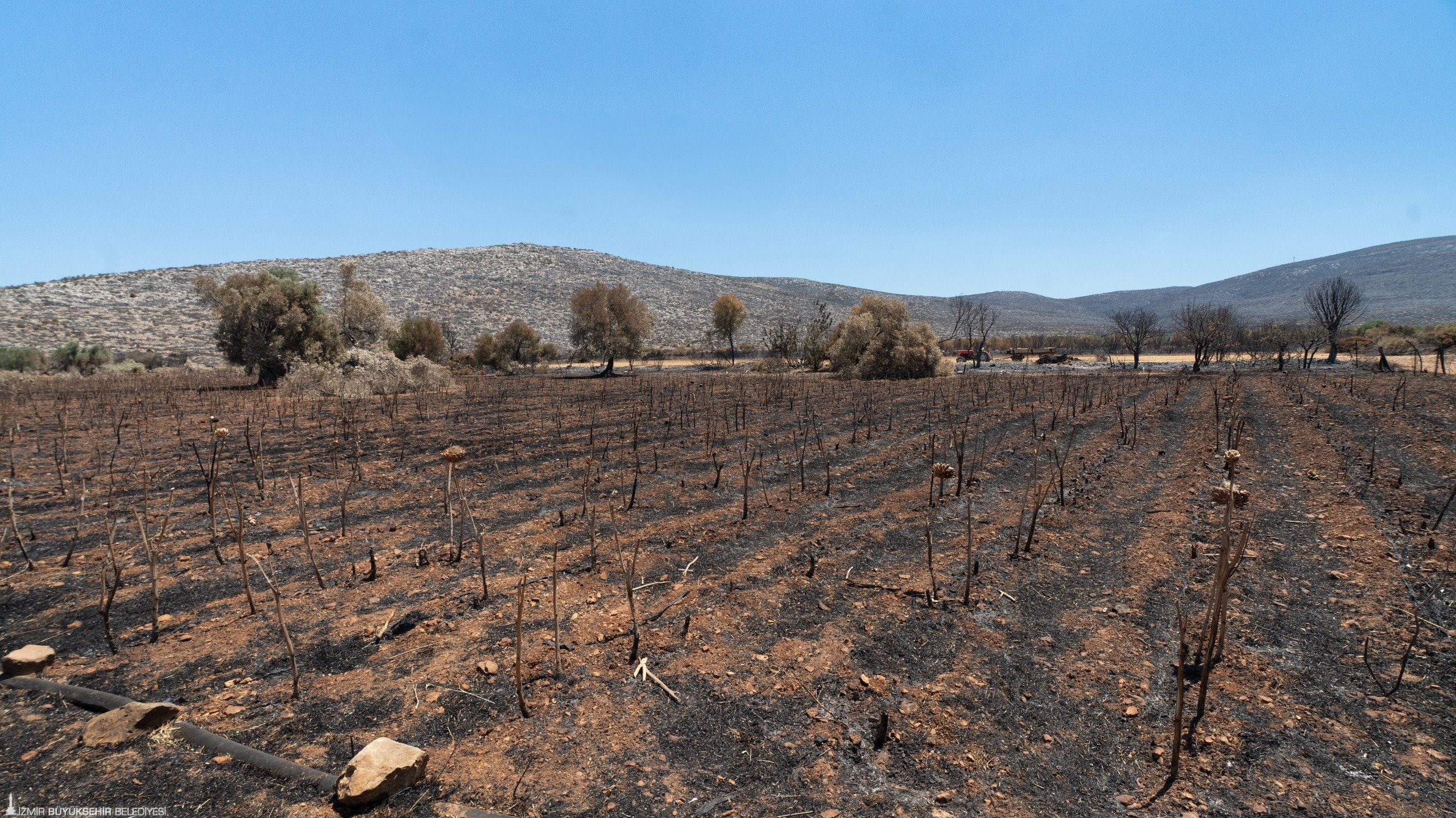 Buyuksehir Yanginin Yaralarini Sarmak Icin Sahaya Indi 5