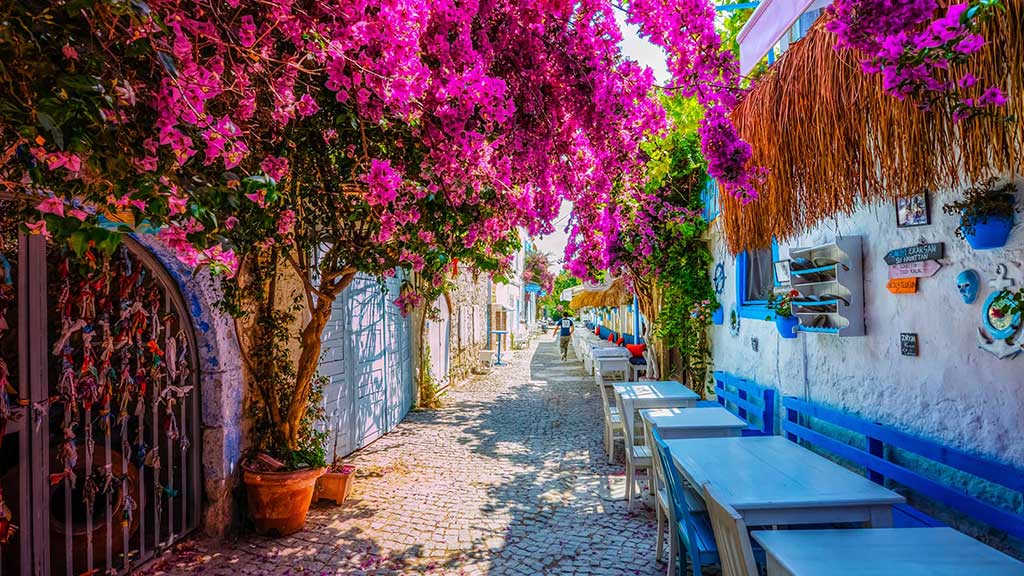 Cesme Izmir Town Alacati Kusadasi Trip