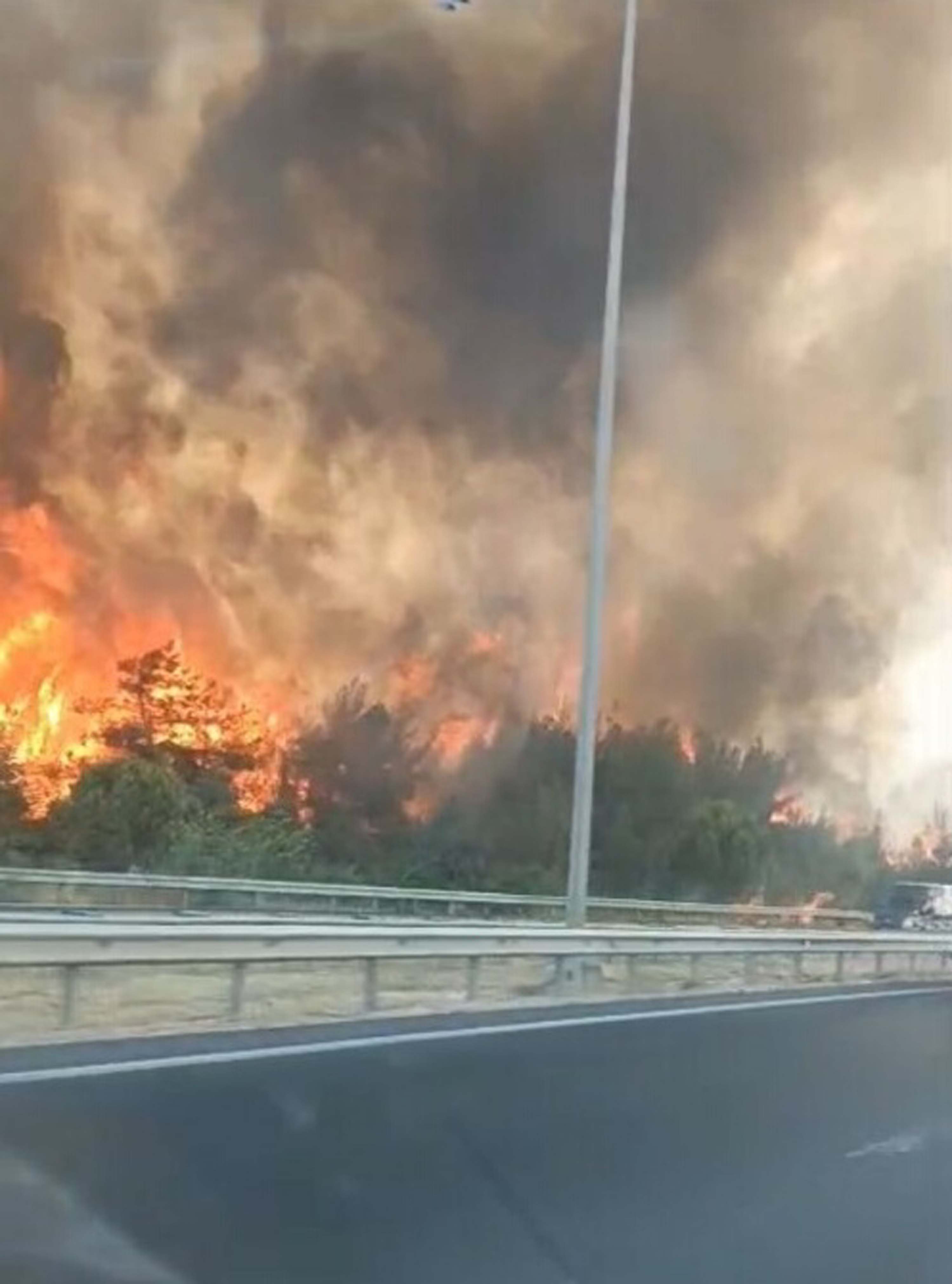 I Z M I R’ D E O R M A N Y A N G I N I 833017 246861