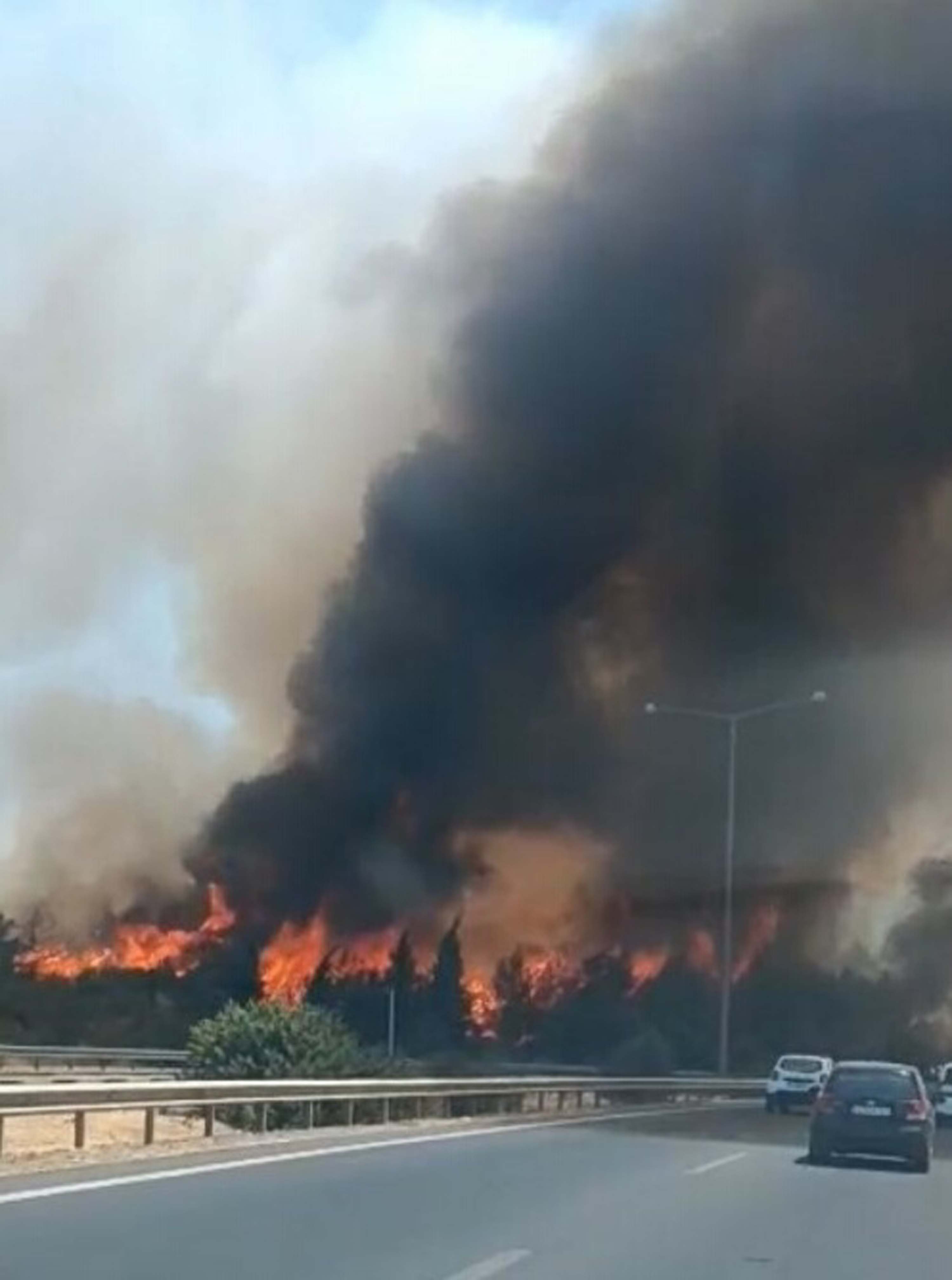 I Z M I R’ D E O R M A N Y A N G I N I 833019 246861