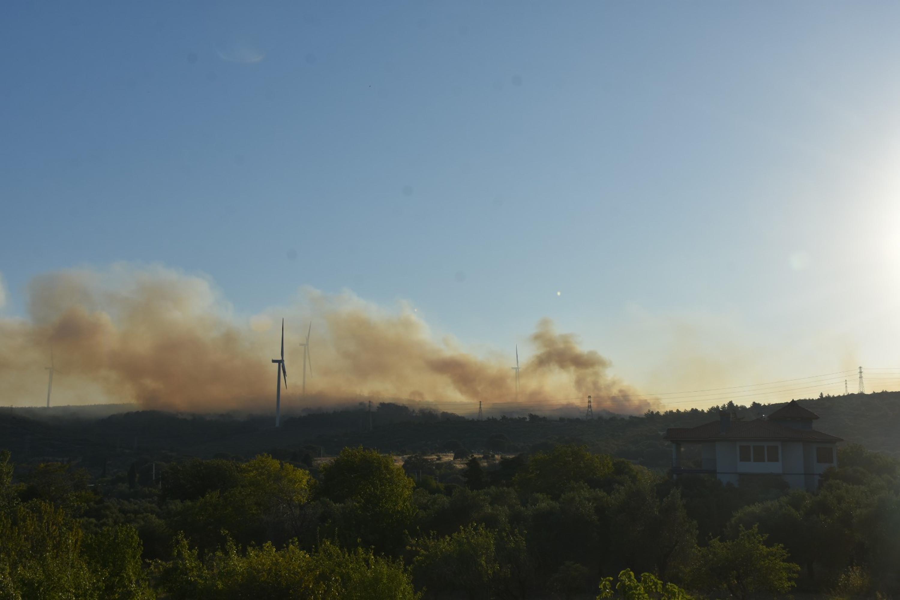 I Z M I R D E O R M A N Y A N G I N I E K F O T O G R A F L A R 813733 240984