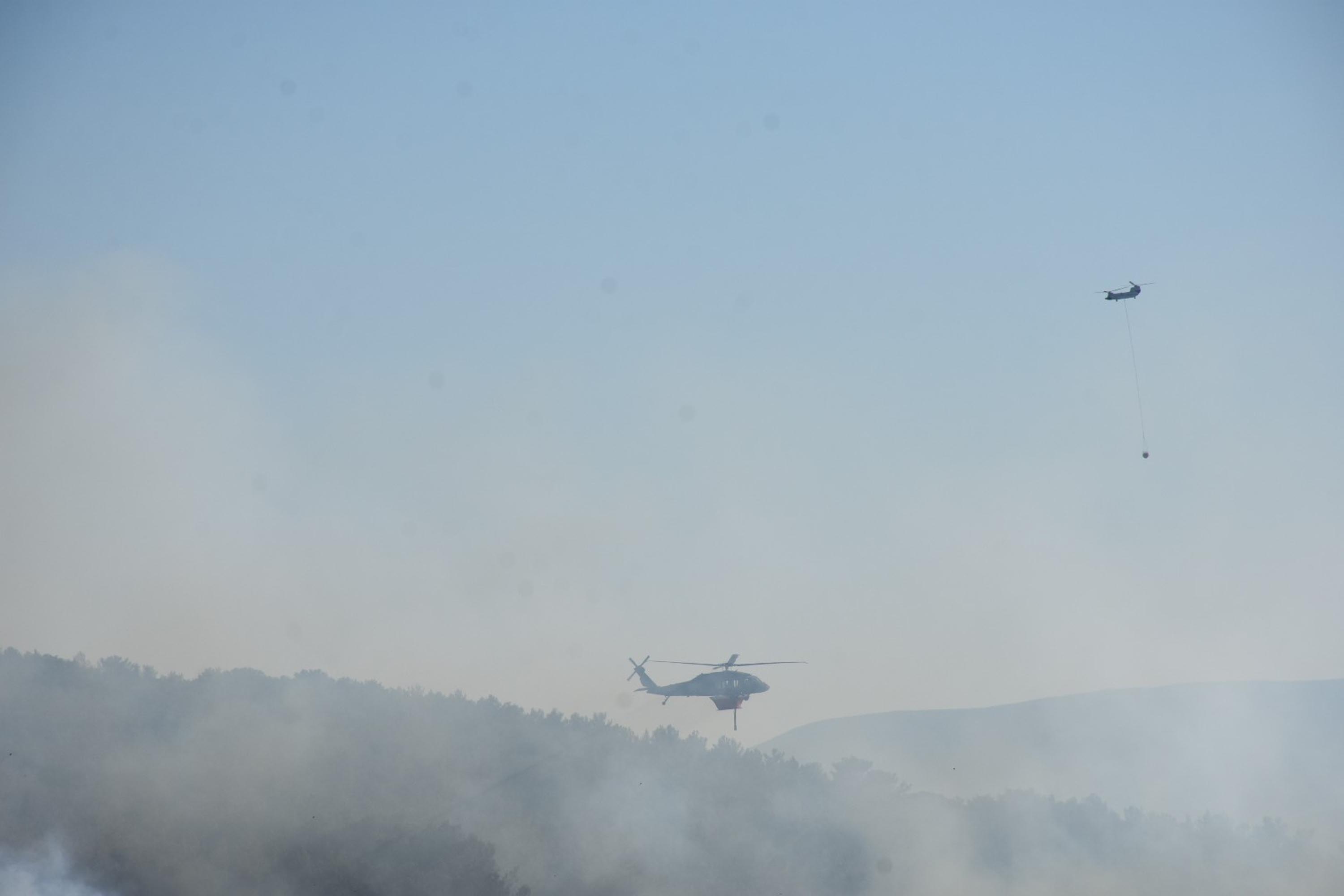 I Z M I R D E O R M A N Y A N G I N I E K F O T O G R A F L A R 813738 240984